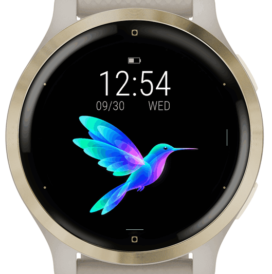 Aurora Humming Bird · Screenshot 2
