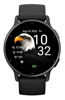 bald Eagle · Screenshot 3