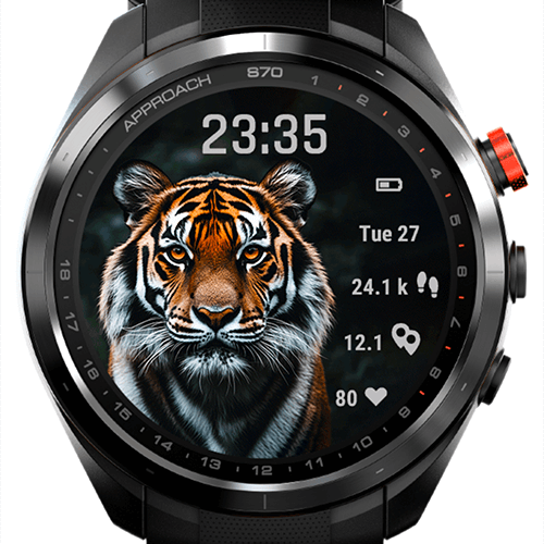 Tiger Focus G · Screenshot 4