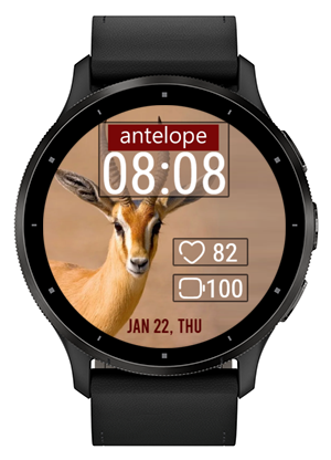 Beautiful Antelope · Screenshot 3