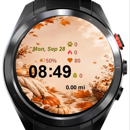 Close Up Front Back View Orange · Screenshot 2
