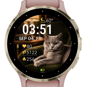 British Shorthair Library · Screenshot 2