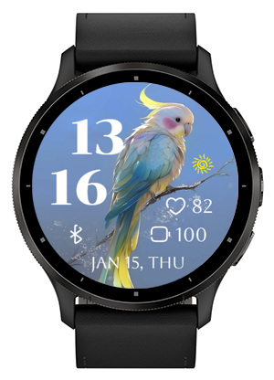 Pretty Parrot · Screenshot 2