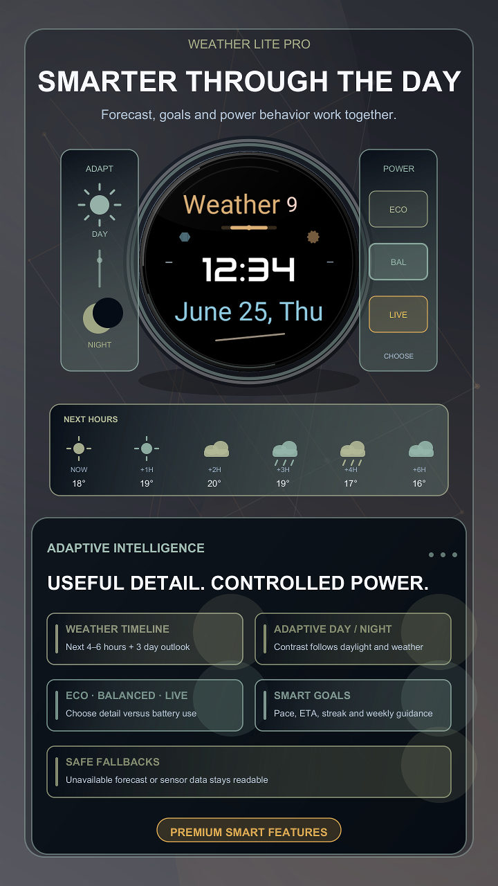 Weather Lite Pro · Screenshot 3
