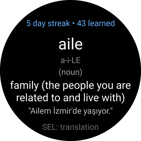 VocabLearn Turkish Free — Words & Phrases · Screenshot 2
