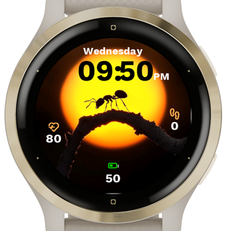 Twilight Ant · Screenshot 3