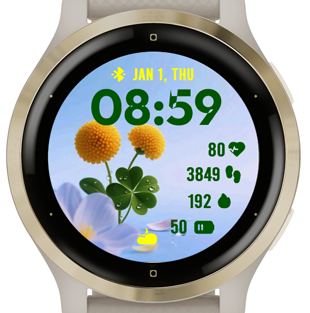 Small Chrysanthemum · Screenshot 1