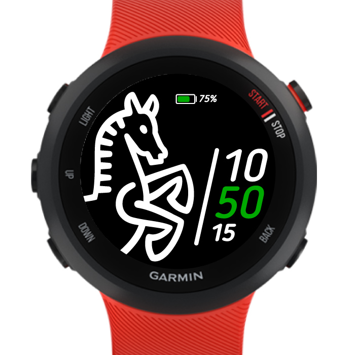 NovgorodRun Watchface · Screenshot 3