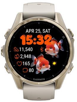 Auspicious Fish 3