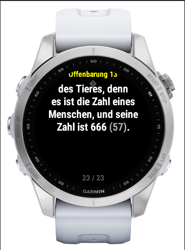 Bibel 5