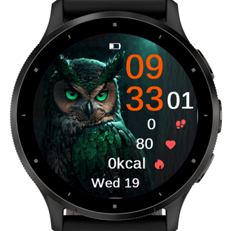 Green Owl · Screenshot 3