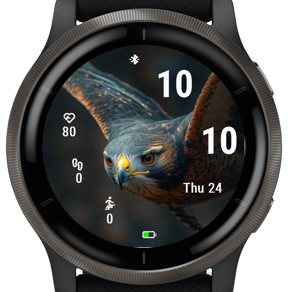 Eagle Gaze · Screenshot 3
