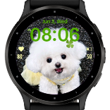 Yellow Bichon · Screenshot 1