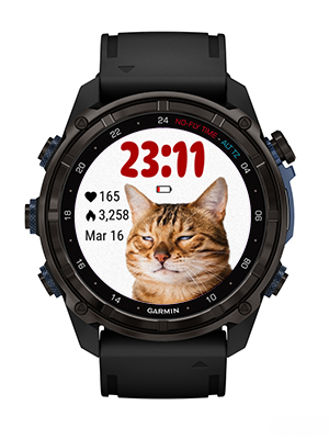 Funny cat · Screenshot 2