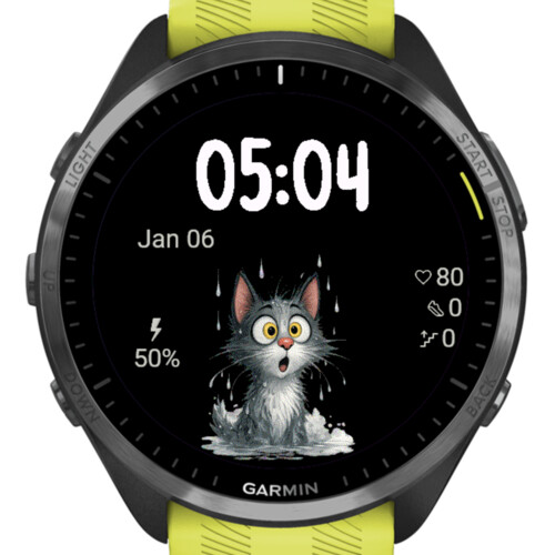 Surprised Rainy Cat · Screenshot 1