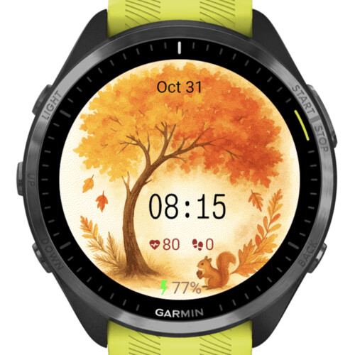 Autumn Squirrel – Golden Tree · Screenshot 0