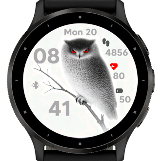 Silent Owl · Screenshot 0