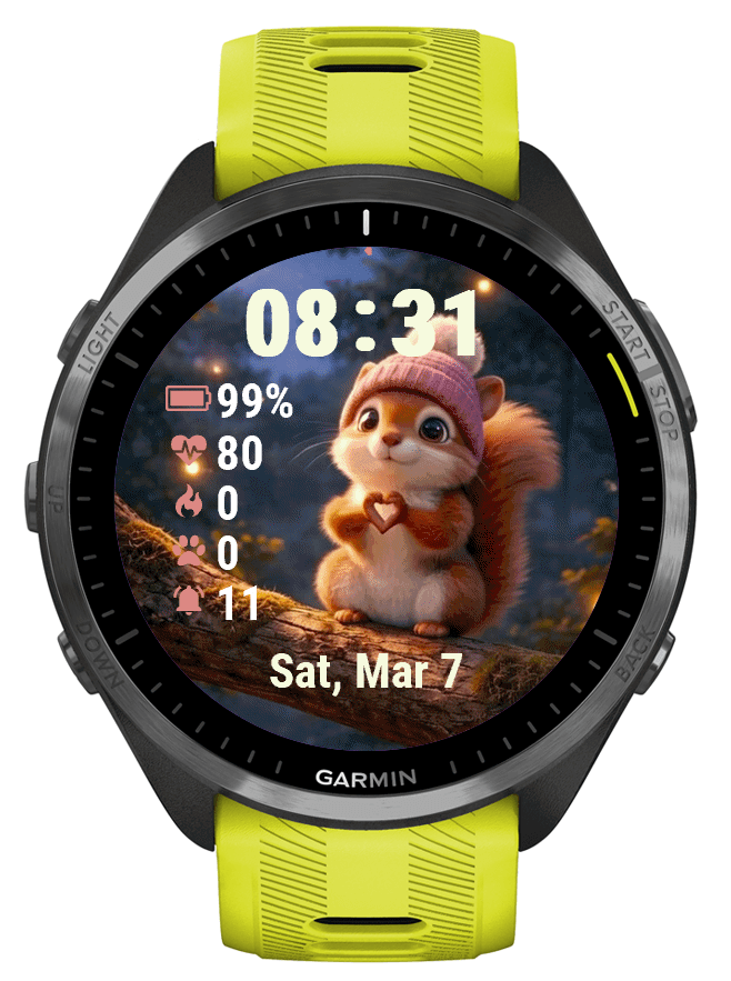 SQUIRREL · Screenshot 0