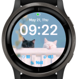 Black and White Cat · Screenshot 3