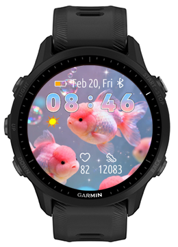 Pink Goldfish · Screenshot 1