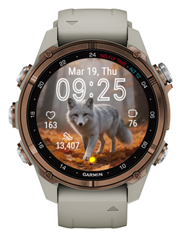 Arctic FFox · Screenshot 2