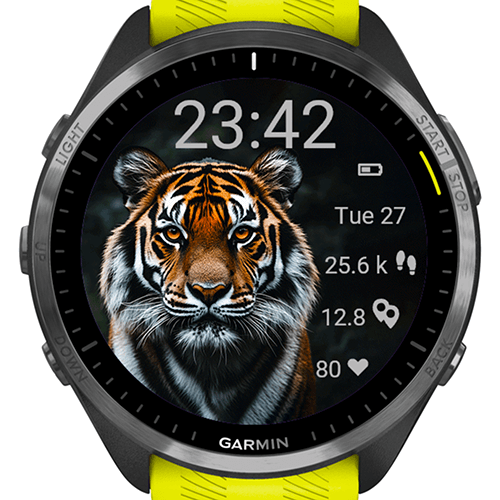 Tiger Focus G · Screenshot 1