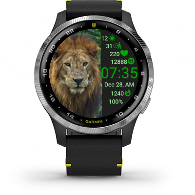 Lion In Flow · Screenshot 1