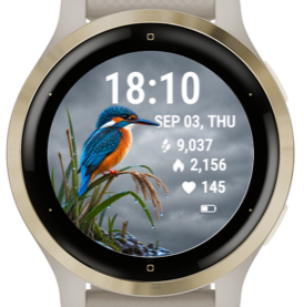 Rainbank Kingfisher · Screenshot 2