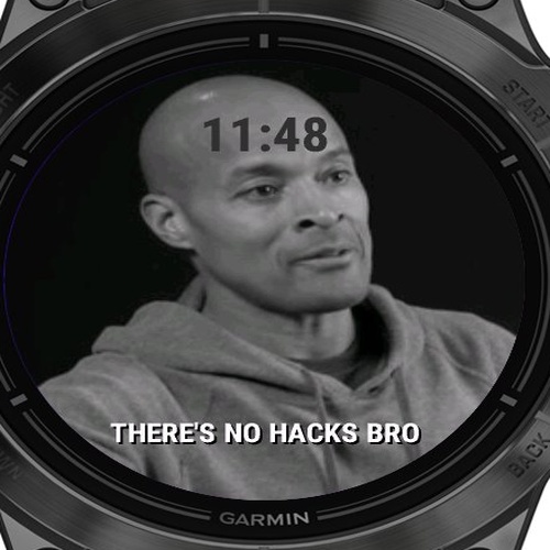 Goggins No Hacks! 2