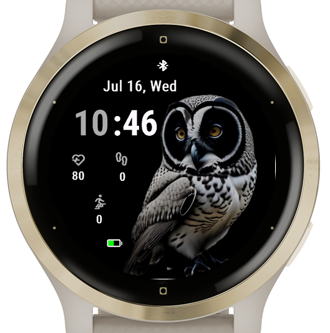 Gaze Owl · Screenshot 2