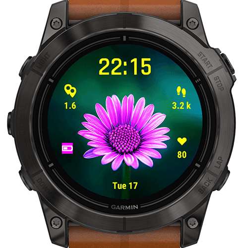 Purple Daisy Flower G · Screenshot 2