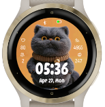 Cat 2