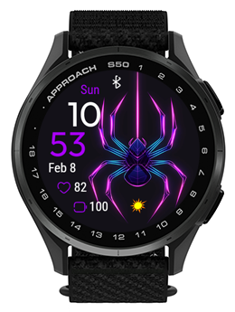 Spider Day · Screenshot 1