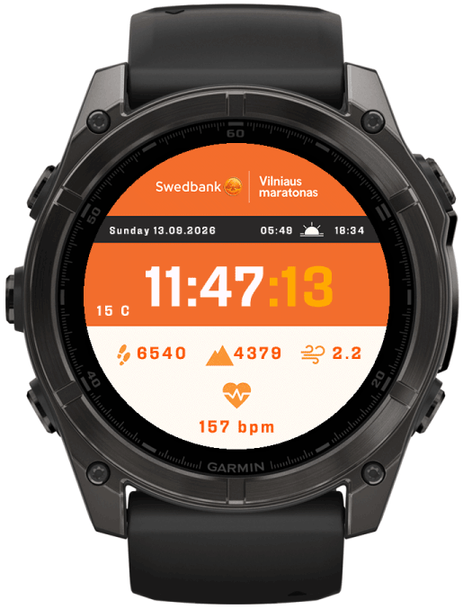 Swedbank Vilnius Marathon · Screenshot 0