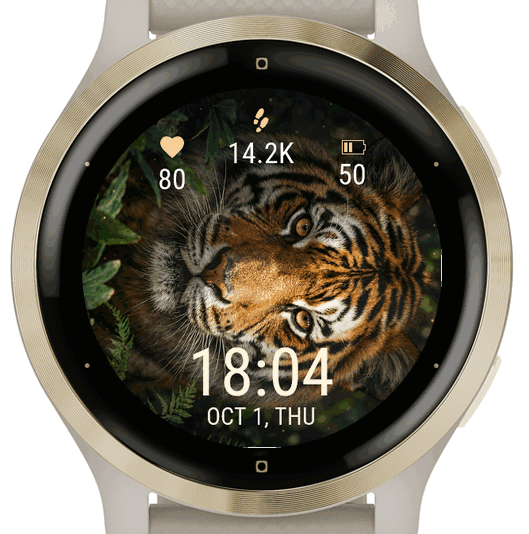 tiger · Screenshot 2