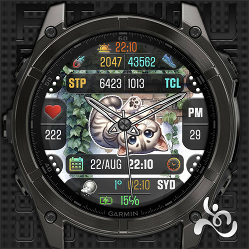 Fit4U – 055.2 – Cat Series 2 · Screenshot 2