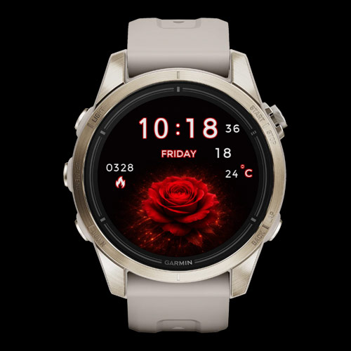 Crimson Rose (Your Data. Your Style) 4