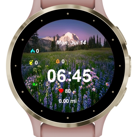Wildflower · Screenshot 0