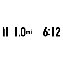 Auto Lap Counter Monitor [hLapMonitor] · Screenshot 2