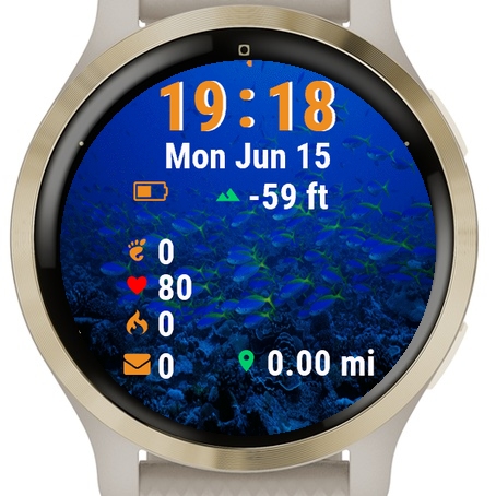 Fish Swimming Over Coral · Screenshot 0