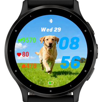 Happy Labrador · Screenshot 2