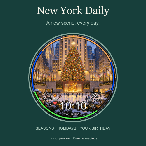 New York Daily · Screenshot 3