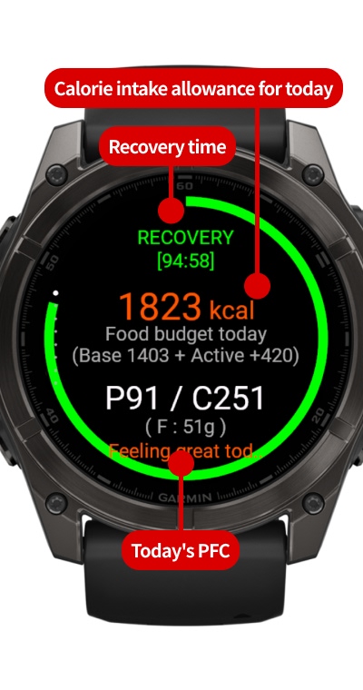 Calorie & PFC Budget - Real-time PFC Auto-Calc · Screenshot 0