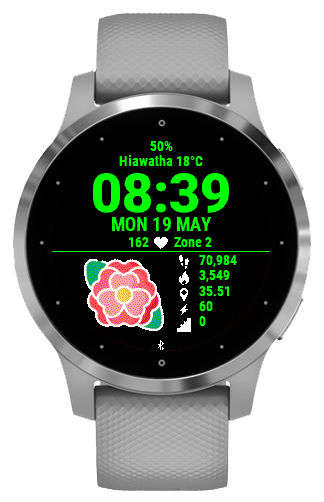 Flowers · Screenshot 1