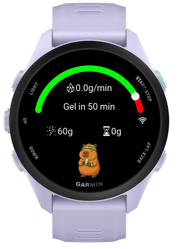 FuelPulse - Datafield · Screenshot 2
