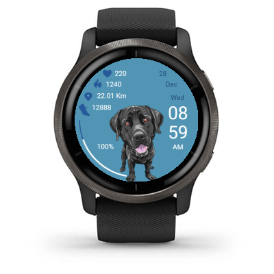 Dog 02 · Screenshot 1