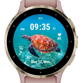Coral Turtle · Screenshot 0