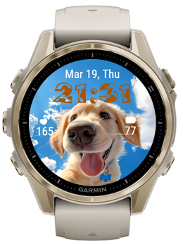 Dog Head · Screenshot 3