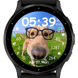 Glasses doggo 3