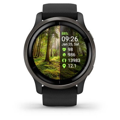 Forest 6